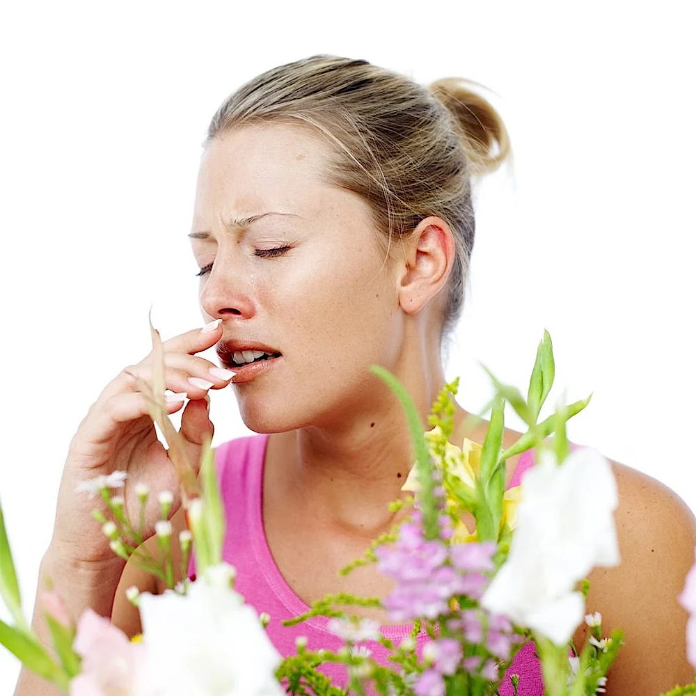 allergy 2